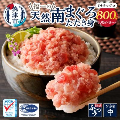 ふるさと納税 焼津市 マグロ ネギトロ ねぎとろ 冷凍 小分け 天然南まぐろたたき身100g×8パック(a10-1095)