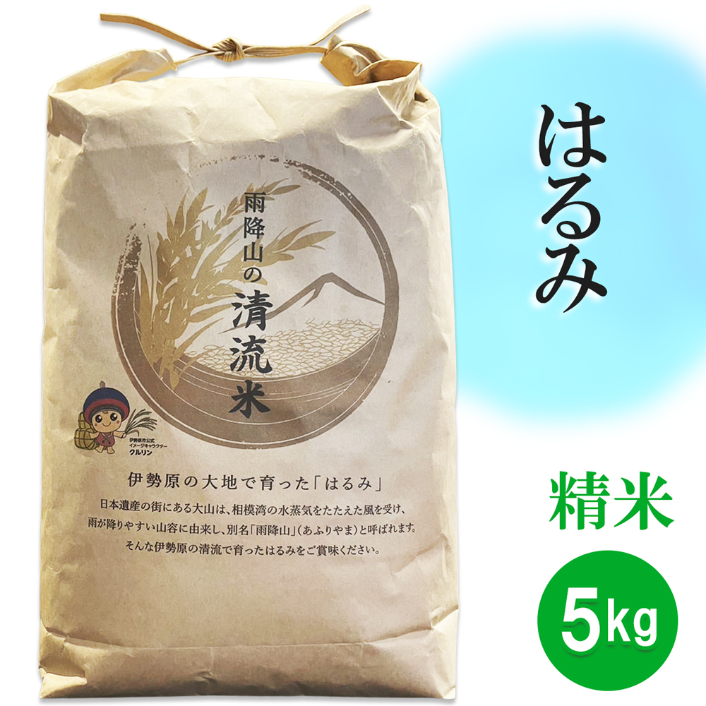 新米 令和7年産 伊勢原の米「はるみ」5kg 精米済｜米 お米 伊勢原 はるみ 精米 いせはらVILLAGE [0715]