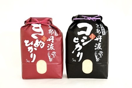 【京丹波の米】 京丹波こしひかり きぬひかり 食べ比べセット 10kg 令和8年産  [015MB002]