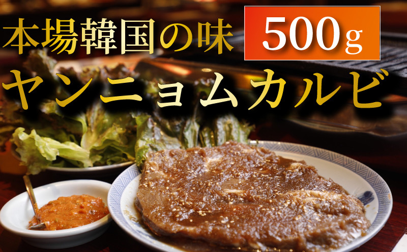 
ヤンニョムカルビ 500g
