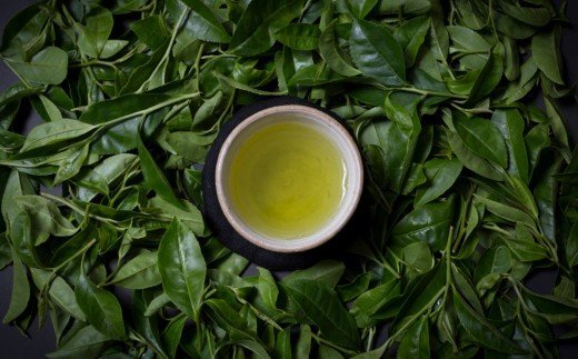 濃厚でこくのある味わい！高橋製茶の有機深蒸し茶（60g×2袋）