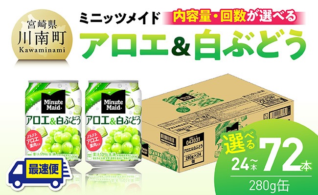 ※内容量と回数が選べる※コカ・コーラ ミニッツメイド「アロエ&白ぶどう」280g缶 【 飲料 アロエ 白ぶどう 果汁 長期保存 定期便 】 [C11131 C11132 C11133 C11131t3 C11132t3 C11133t3]
