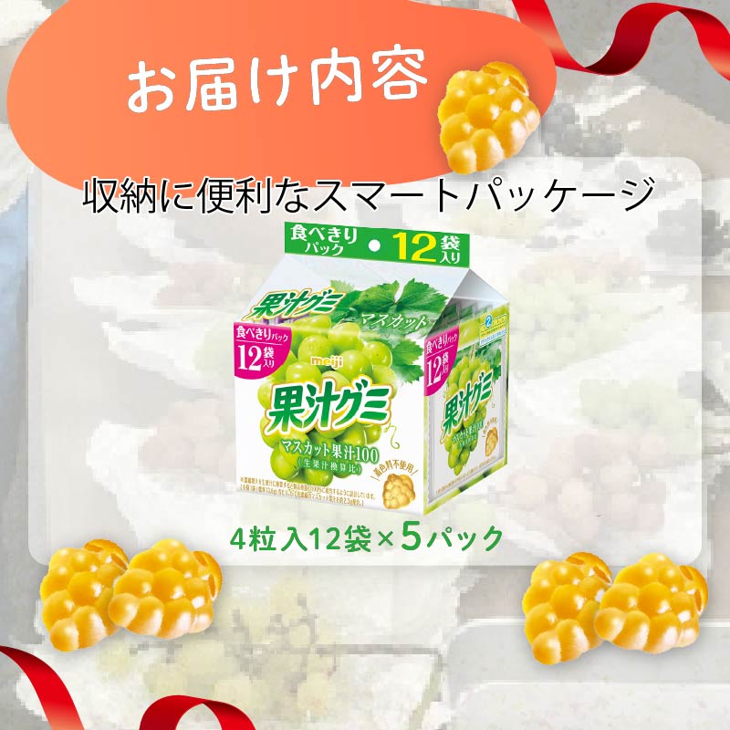 明治 果汁グミスマートパック マスカット 163ｇ × 5個 グミ お菓子 おやつ フルーツ 果物 果汁 詰め合わせ 詰合せ セット  まとめ買い 静岡県 藤枝市 