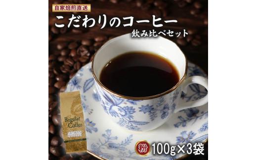 コーヒー粉 100g×3袋 ロイヤルブレンド マウンテンブレンド 今月のスペシャルティ珈琲 の 詰め合わせ セット サン珈琲 自家焙煎 コーヒー 粉 ドリップコーヒー レギュラーコーヒー ブレンドコー