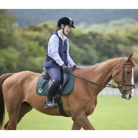 乗馬体験1回コース(30分) レッスンご利用券(装具レンタル込み)施設見学案内付き【1507242】