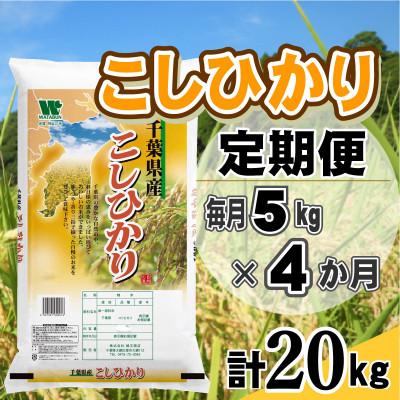 ふるさと納税 大網白里市 【毎月定期便】コシヒカリ 精米 5kg (5kg×1袋)全4回