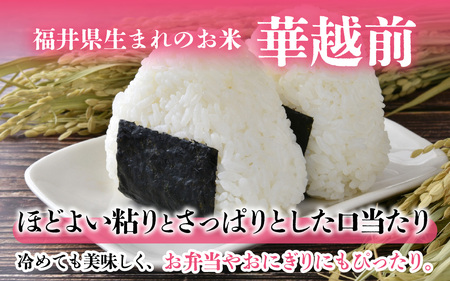 【先行予約】令和7年産新米　福井市産はなえちぜん 5kg【無洗米】「2025年8月下旬より順次発送」 [A-094013] / ハナエチゼン 華越前 花えちぜん 刈り取り時期 早生 品種 福井県産 新