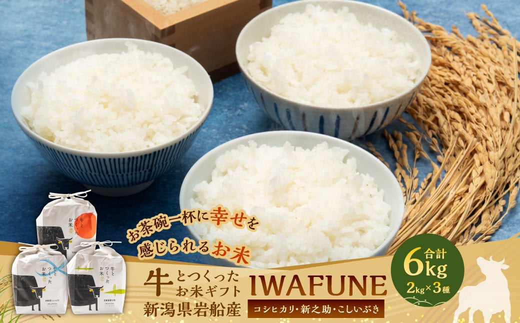 
            【新米受付・令和7年産米】牛とつくったお米 食べ比べセット「IWAFUNE」計6kg（新潟県村上市岩船産コシヒカリ・新之助・こしいぶき 精米各2kg）1041004N
          
