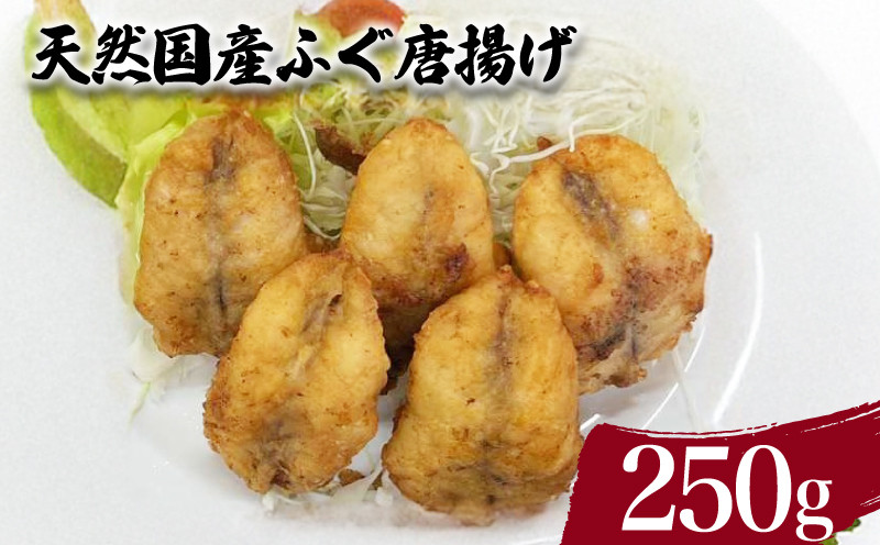 
天然国産 ふぐ から揚げ 250g ( 鮮魚 魚介 海鮮 フグ 河豚 海の幸 加工品 惣菜 唐揚げ お手軽 便利 簡単調理 揚げるだけ おかず ごはんのお供 ご飯 お米 夕食 おやつ おつまみ 酒 ビール ) 下関 山口
