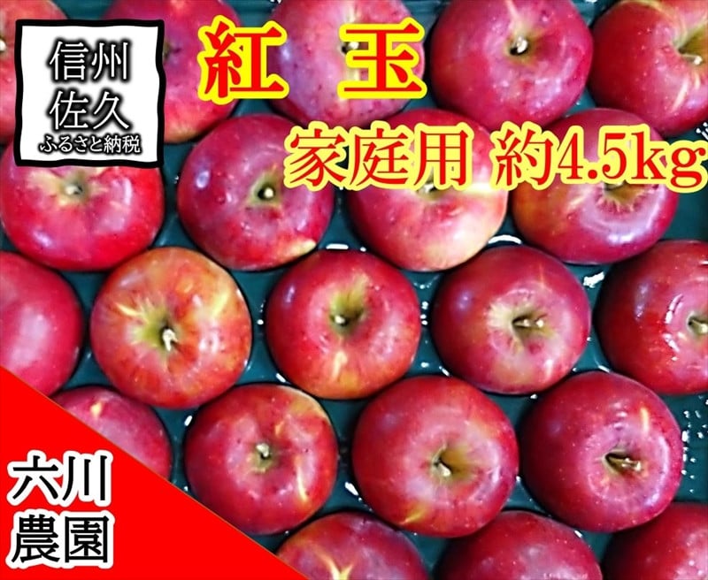 
            長野県産 紅玉 りんご 家庭用 約4.5kg （18～28玉）〈2025年10月出荷分／北海道・沖縄県・離島は配送不可〉 信州 果物 旬彩 先行予約 季節限定【 当園にて愛情たっぷりに育てたりんご 長野県 佐久市 旬彩 】
          