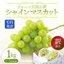 【ふるさと納税】【先行予約 2025年度発送】♪フルーツ王国山形♪訳ありシャインマスカット1kg 10月発送 マスカット ぶどう ブドウ 葡萄 デザート フルーツ 果物 くだもの 果実 食品 山形県 FSY-1141