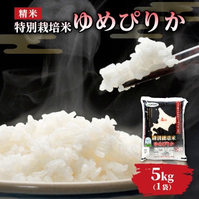 【令和7年産米】北海道旭川市産 特A ゆめぴりか 新米(精米)5kg_05665【1705125】