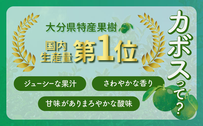 つぶらなカボス はちみつ入り(30本)