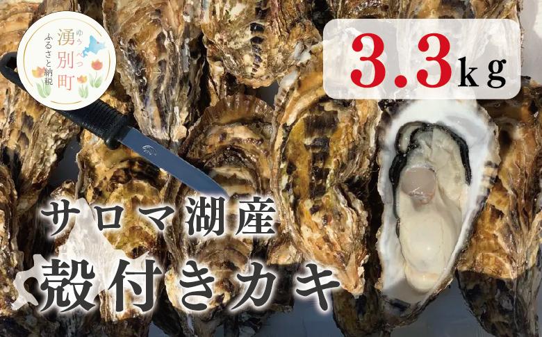≪先行予約11月中旬から発送≫サロマ湖産殻付きカキ3.3㎏