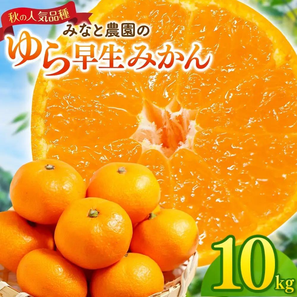 【9月30日受付終了】みかん ゆら早生みかん 約10kg【mntf0008】
