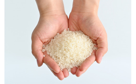 那須町産コシヒカリ 10kg×2袋〔P-275〕