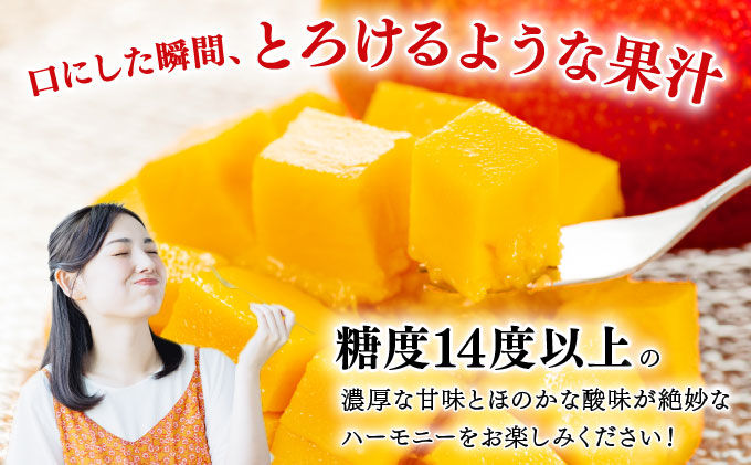 【2026年夏発送】【先行予約】プレミアム アップルマンゴー！1kg箱(2〜3玉)