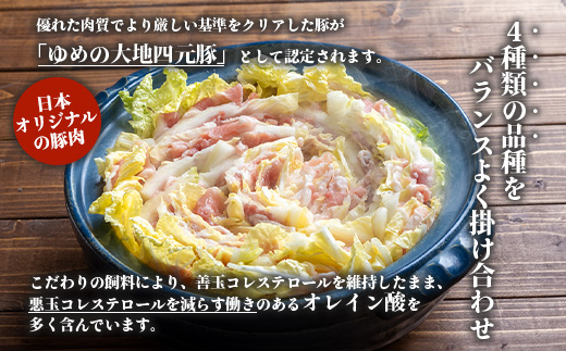 【北海道ブランド豚】「ゆめの大地」 豚バラスライス 200g×15パック【2700601】