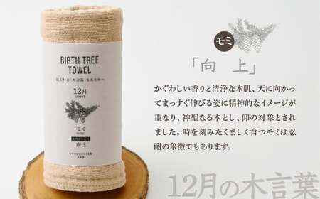 12月「モミ」の木言葉 「向上」 BIRTH TREE TOWEL |  ガーゼ ガーゼ ガーゼ ガーゼ ガーゼタオル ガーゼハンカチ タオル ハンカチ ふわふわ 草木染 染め RYOKUSUIEN 