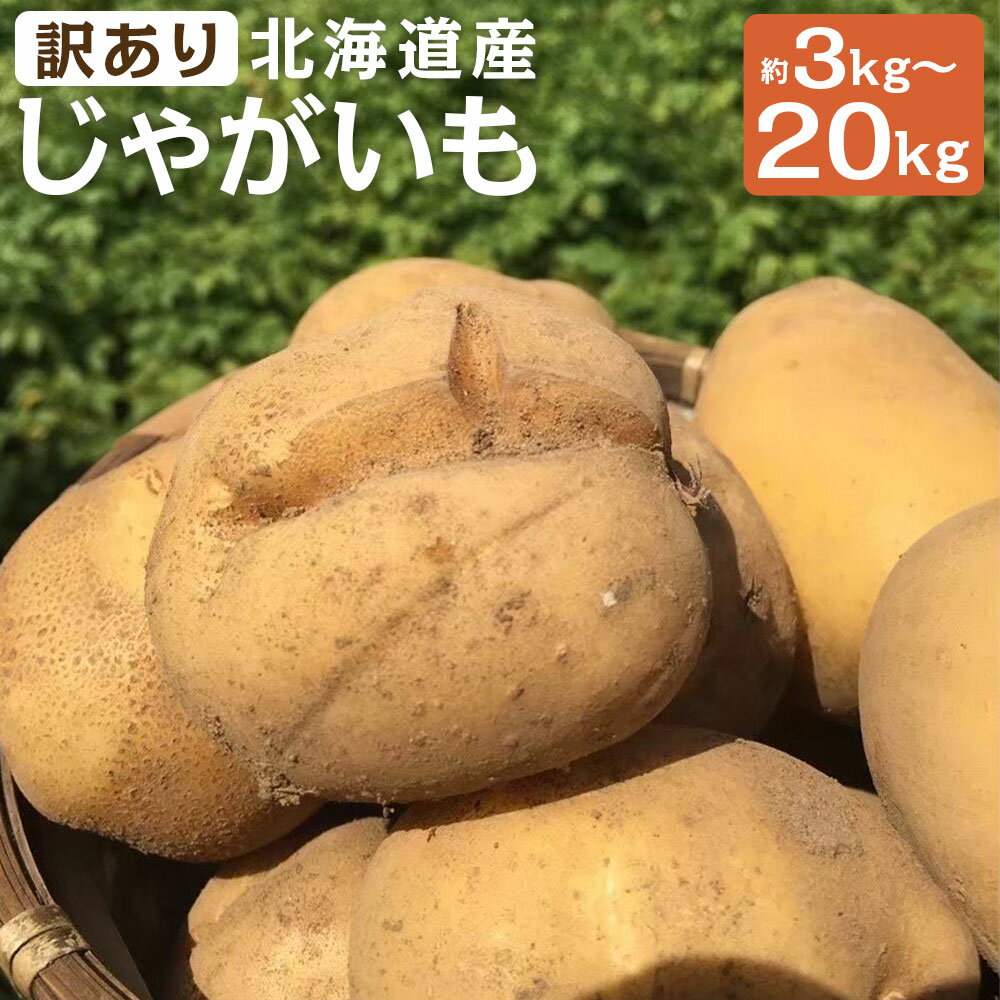 【ふるさと納税】【訳あり】北海道産じゃがいも 男爵/キタアカリ 約3kg/約5kg/約10kg/約20kg 選べる種類 選べる内容量 M～2Lサイズ混載 ご家庭用 山田農場 京極町産 北海道産 国産 送料無料【2025年9月下旬～2026年3月上旬に順次発送予定】