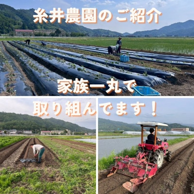 【熟成干し芋】京都府与謝野町産 紅はるか 農家こだわり京の干し芋 100g×3袋 糸井農園【配送不可地域：離島】