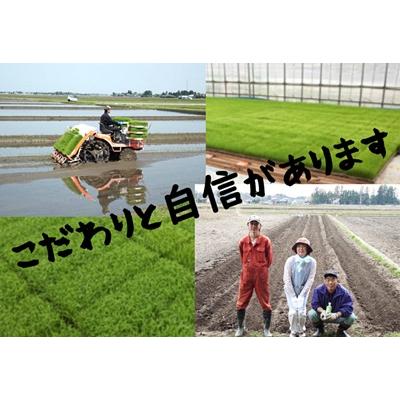 ふるさと納税 阿賀野市 【令和7年産先行受付】3回定期便 旧笹神村産コシヒカリ&新之助 各2kg 美味しいお米食べ比べセット |  | 03