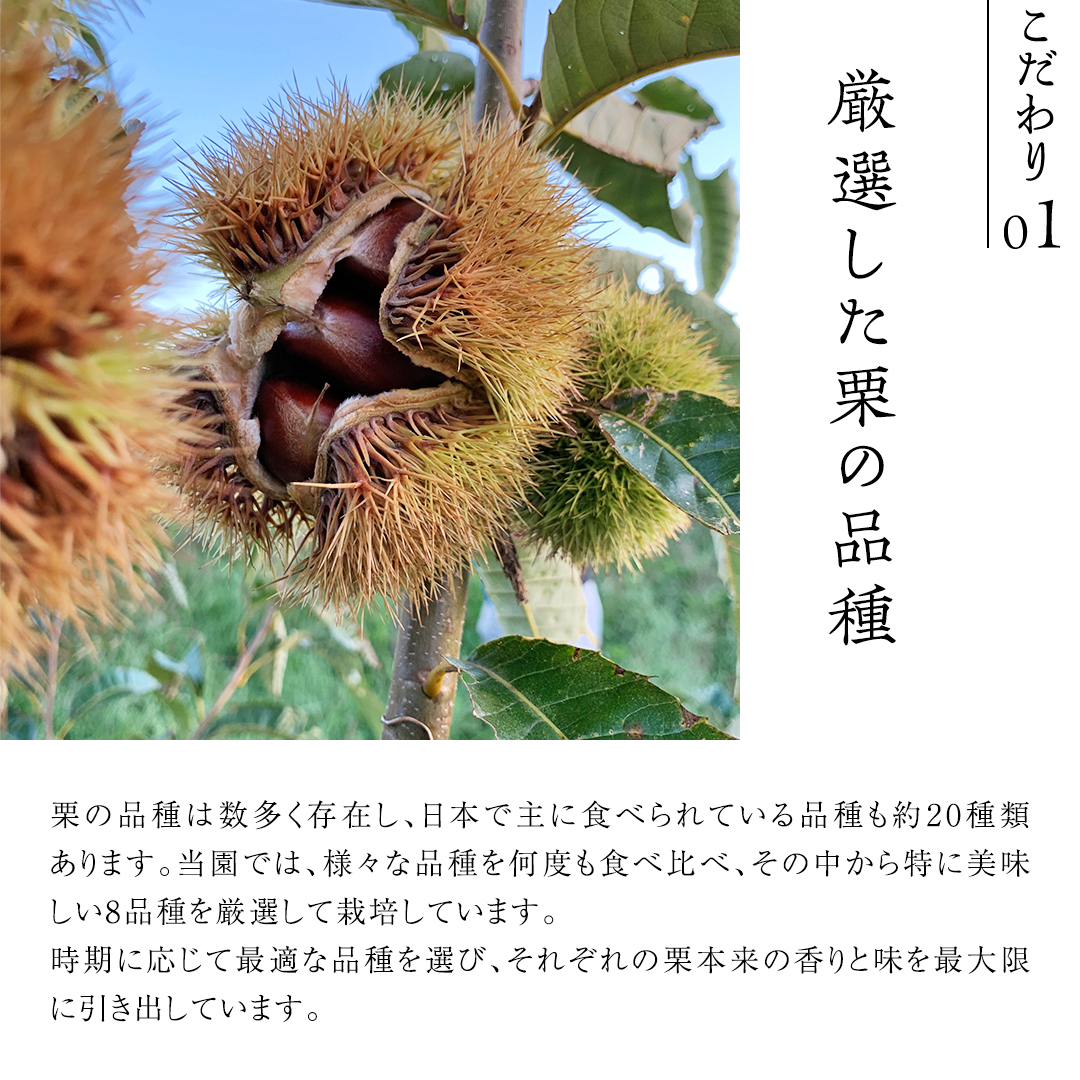 庄七農園 厳選『 最高等級 』氷蔵熟成 焼き和栗 500g 10月下旬発送開始 茨城 お取り寄せ 茨城県産 栗 くり 焼栗 おやつ スイーツ 茨城 和栗 美味しい 果物 フルーツ 庄七農園 [BK15