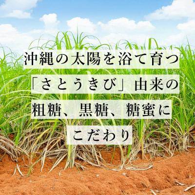 ふるさと納税 うるま市 ぬちまーす塩黒蜜(180ml)×3袋セット |  | 01