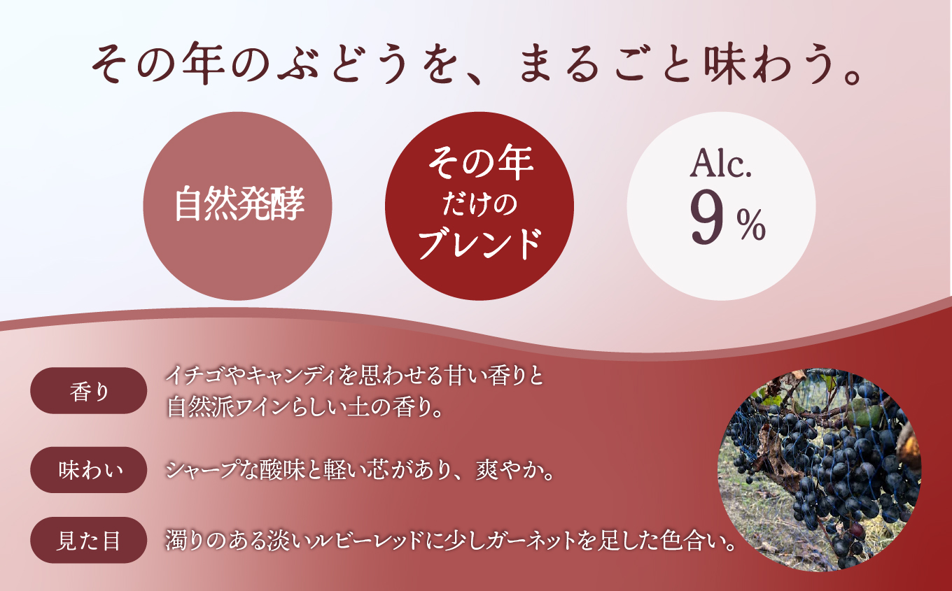 カマシカモス 2025年 ロゼ 中辛口 500ml 2本 潟上市 むつみワイナリー	