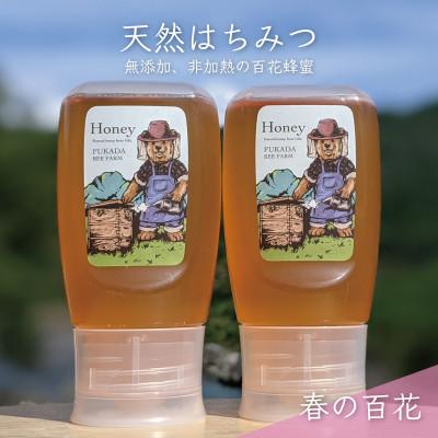 ふるさと納税 美濃市 合計600g 深田養蜂の天然蜂蜜 国産蜂蜜 非加熱 生はちみつ 岐阜県 美濃市産 春 A10