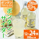 【ふるさと納税】＜本数が選べる！＞ボンタンサイダー！(12本～24本、200ml/本) ぼんたん ボンタン 文旦 サイダー ジュース 飲み物 飲料 果汁 フルーツ 果物 炭酸【ボンタンプロジェクト】