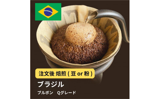 
            コーヒー #002 ブラジル ブルボン Qグレード コーヒー 310g 当日焙煎 大山珈琲 （豆または中挽きから選択）
          