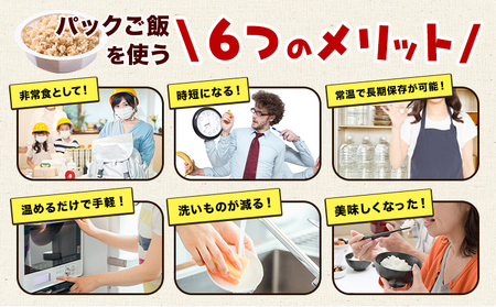 ぴかまる パックご飯 10個 パックごはん 米 パックライス 南阿蘇村産 一般社団法人南阿蘇村農業みらい公社《30日以内に出荷予定(土日祝を除く)》熊本県 南阿蘇村 送料無料 お米 米 ご飯 玄米 パ