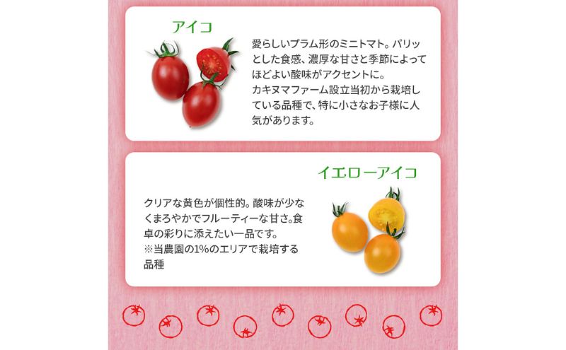 栃木県 鹿沼産 高糖度 フルーツトマト ”とまおとめ” 食べ比べ 2kg お届け：12月下旬～6月上旬 トマト カキヌマファーム アイコ フルティカ アルル イエローアイコ 濃厚 入手困難 贈り物 栃