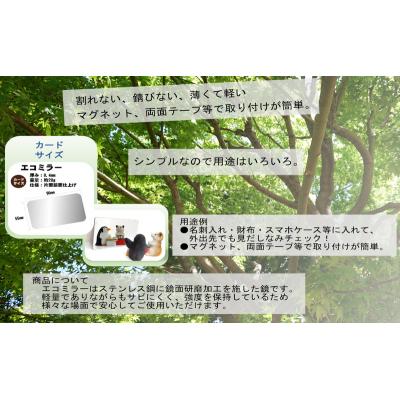 ふるさと納税 加西市 鏡 手鏡 ECO MIRROR ECO MIRROR(ねっぴ〜 ) 計2枚[No5698-2264] |  | 02