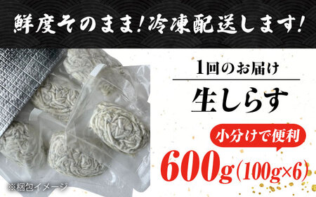 【全3回定期便】しらす 冷凍 シラス 小分け 干し 生しらすのプリッした食感と塩味が抜群！生しらす100g×6個 冷凍 シラス 鮮魚 ギフト 海鮮丼 広島県産 江田島市/三島水産株式会社[XCN020