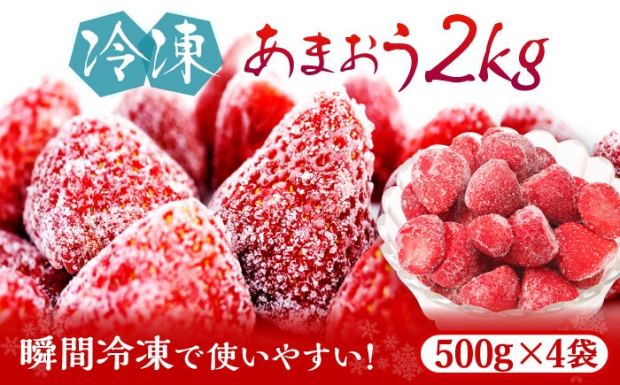福岡県産【博多冷凍あまおう】約500g×4袋 合計約2kg《築上町》【株式会社H&Futures】[ABDG007]
