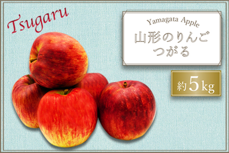 【2026年発送】山形のりんご（つがる）約5kg_H074(R8)