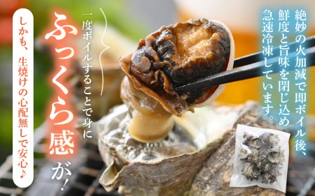【期間限定】天然 さざえ ボイル済 26～30個入 2kg（500g × 4袋）産地直送でお届け！【越前町産 栄螺 サザエ 冷凍 小分け 海鮮 BBQ バーベキュー】 [e14-a011]