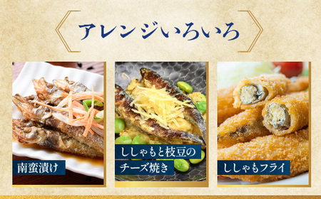 【数量限定！】 子持ち カラフトシシャモ ２kg (500g×4袋) 訳アリ シシャモ ししゃも カラフトししゃも 大洗 規格外 訳あり わけあり 傷_AV010