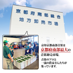 野菜のプロが選ぶ 京野菜 定期便 4回 6～8種類 野菜 