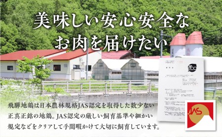 鶏肉 飛騨地鶏 むね肉 1kg(2パック) 鶏肉 [DK033]