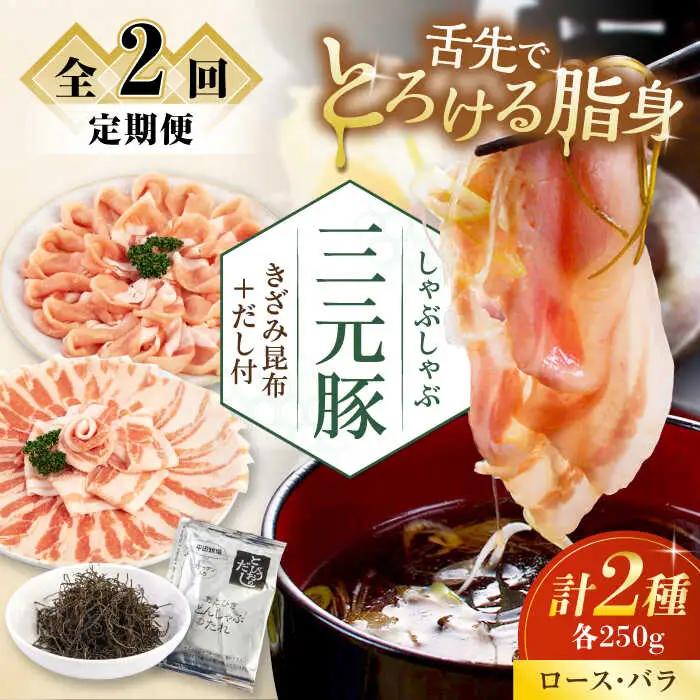 【全2回定期便】 しゃぶしゃぶ セット 500g しゃぶしゃぶ 定期便 AJAP014