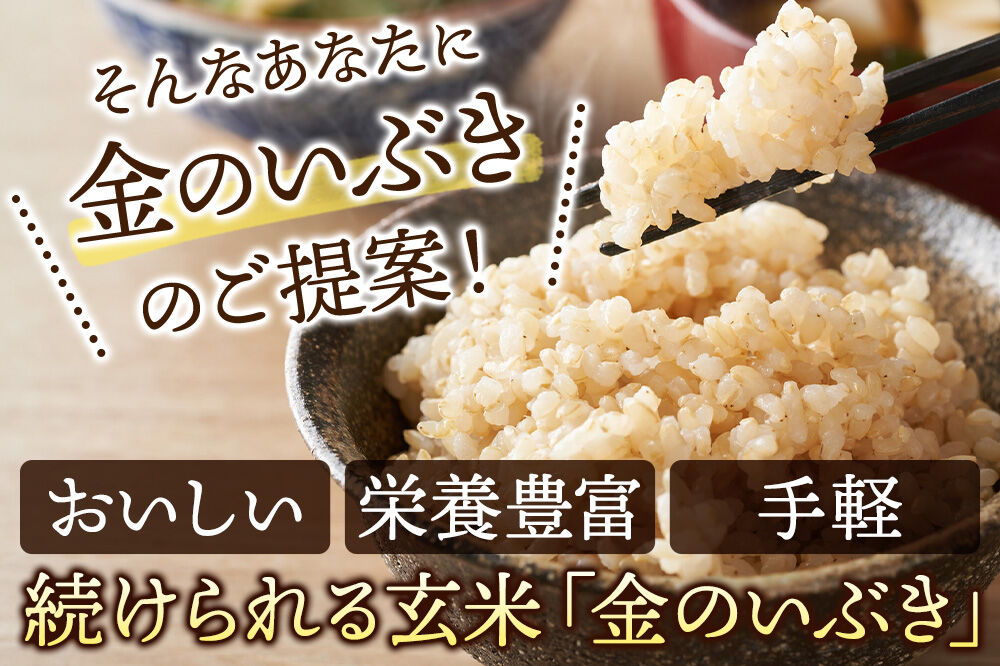 【玄米】米 金のいぶき 8kg(2kg×4袋) 令和7年産 [秋田県産 横手市 金のいぶき 玄米 プレミアム玄米 発芽玄米 米 お米 ご飯 ごはん 国産 栄養 健康 小分け]