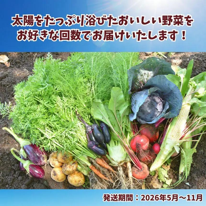 【先行予約】 栃木県産 旬の野菜 (果物) 便 3～10種 1回分