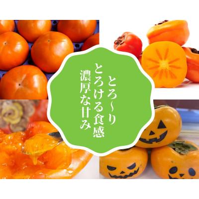 ふるさと納税 佐渡市 【佐渡産おけさ柿】贈答用 2L〜3Lサイズ(青秀または赤秀)約20〜24玉入り |  | 01