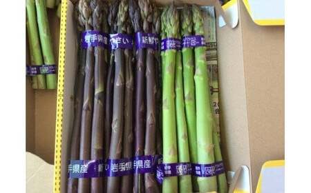 北上産 アスパラ 【予約受付 2026年産】5月上旬～発送開始予定  パープルアスパラ・グリーンアスパラ 計約 750g アスパラ 2色 セット 紫 緑 野菜 国産 岩手 北上 フルーツきやなぎ 岩手