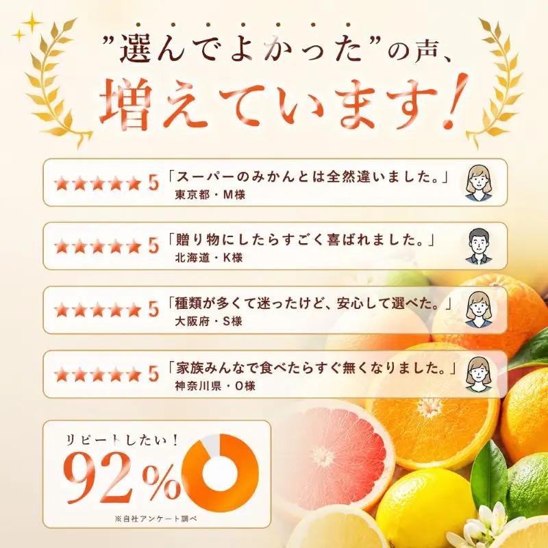 清見タンゴール 家庭用 3kg 【2027年2月下旬頃から順次発送】 | 清見 タンゴール みかん ミカン mikan 蜜柑 訳ありフルーツ 柑橘 果物 おすすめ お勧め お取り寄せ ギフト 愛媛県 
