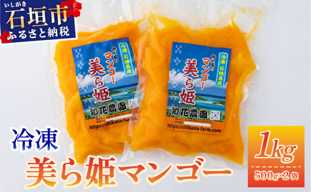 冷凍美ら姫マンゴー 1kg（500g×2袋）CB-3