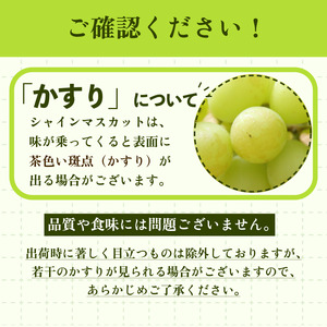 【8月末～9月上旬まで発送】シャインマスカット 2kg 3～5房 マスカット 